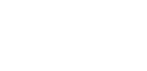 logo UDVL
